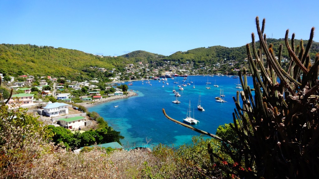 Partez depuis la Martinique pour une croisière voile et plongée avec skipper aux Grenadines. Piwi vous embarque découvrir l'archipel à bord de son catamaran.