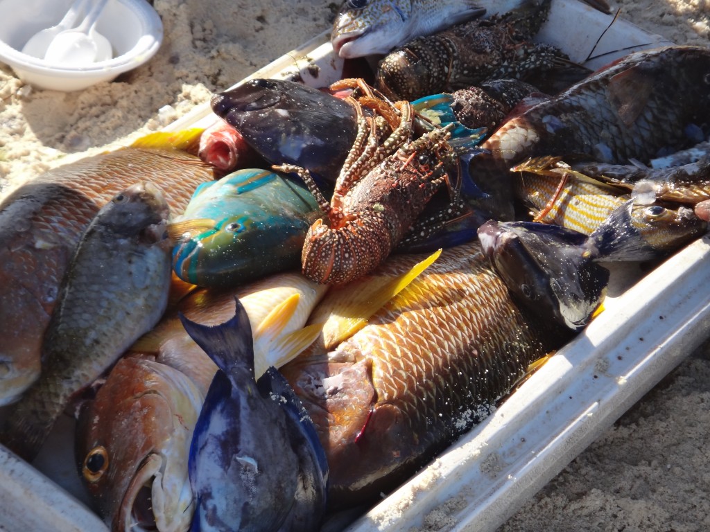 croisiere antilles poissons bien frais
