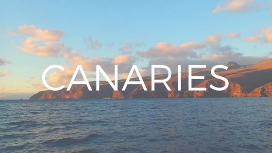 Partez en coirisere aux canaries